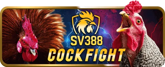Phân tích các chương trình khuyến mãi mới nhất bl5555 casino