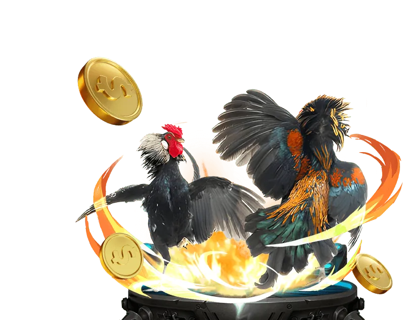 Giao diện hướng dẫn đặt cược đá gà tại bl5555 casino
