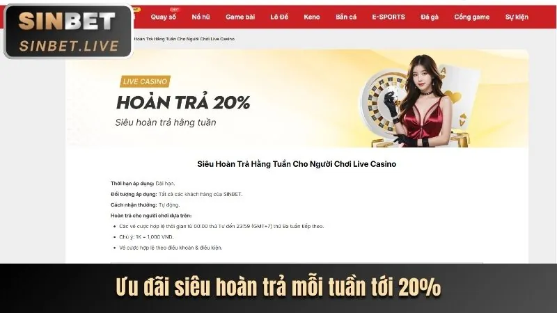 Chương trình hoàn trả cược thể thao hàng tuần tại bl5555 casino